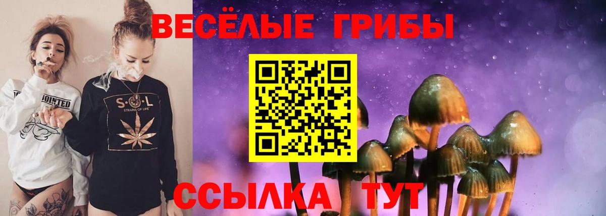 Псилоцибиновые грибы Cubensis  цена   Котлас  Вход с VPN 